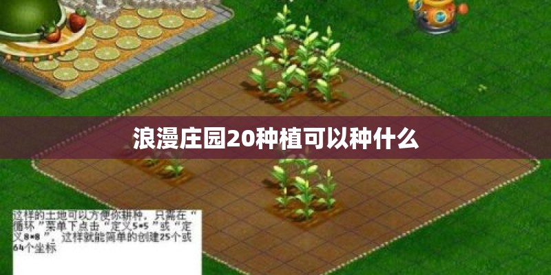 浪漫庄园20种植可以种什么