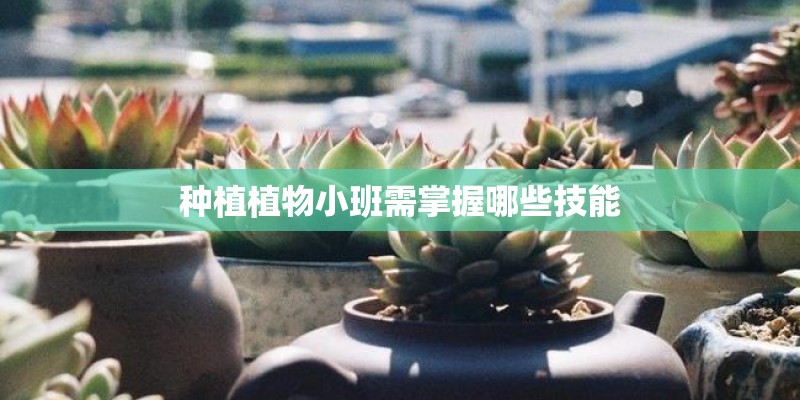 种植植物小班需掌握哪些技能 种植植物小班需掌握哪些技能