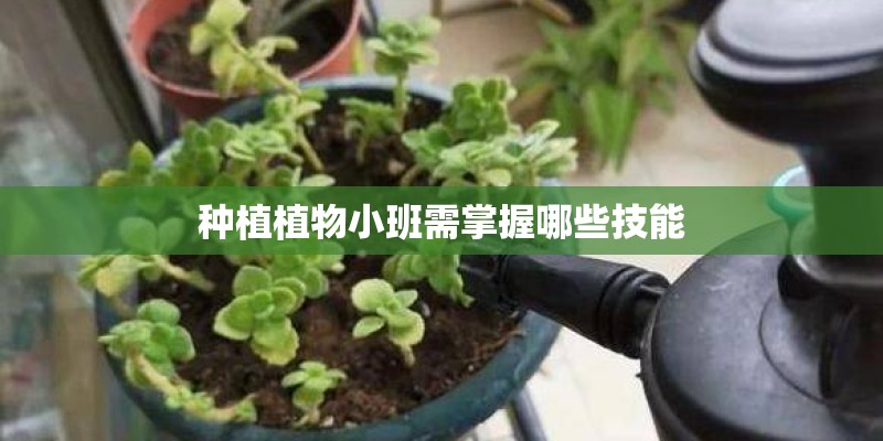 种植植物小班需掌握哪些技能 种植植物小班需掌握哪些技能