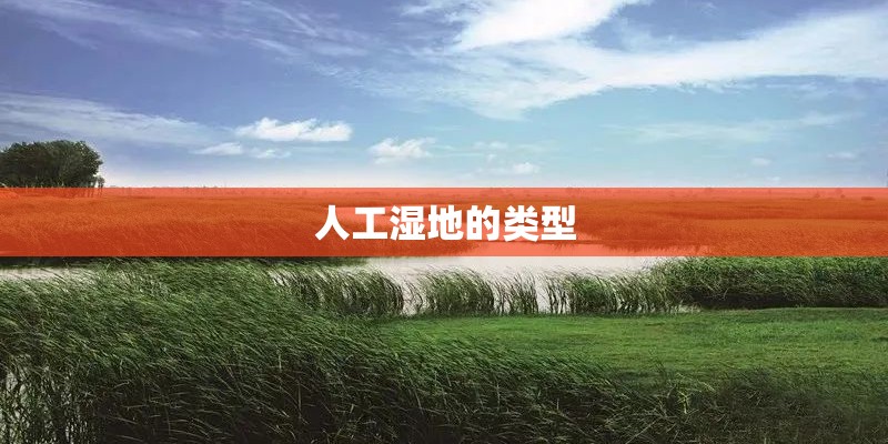 人工湿地的类型