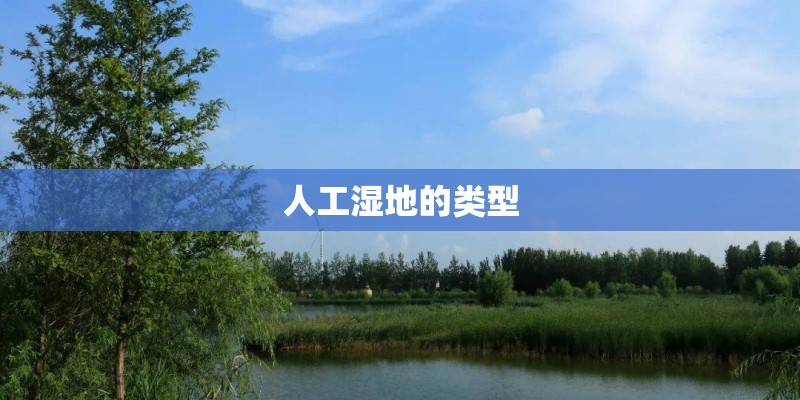 人工湿地的类型