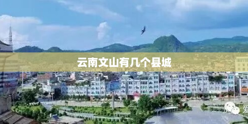 云南文山有几个县城