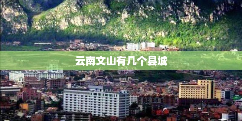 云南文山有几个县城