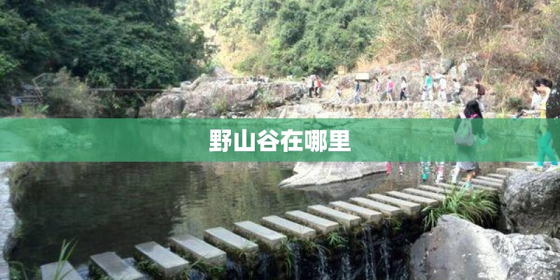 野山谷在哪里 野山谷在哪里