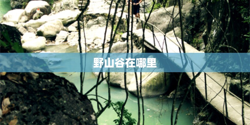 野山谷在哪里 野山谷在哪里