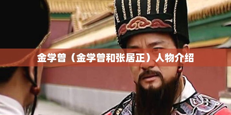 金学曾（金学曾和张居正）人物介绍