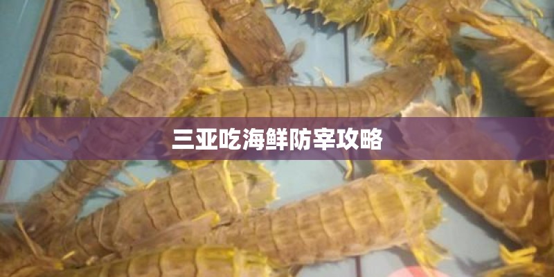 三亚吃海鲜防宰攻略